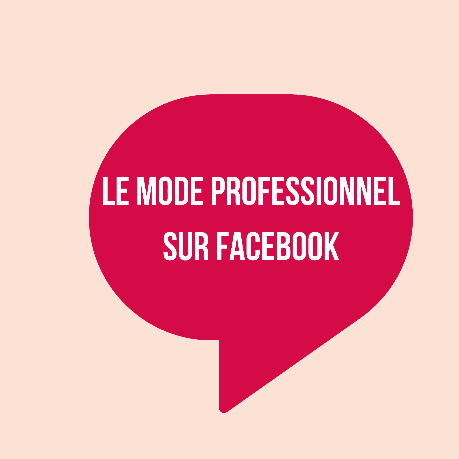 Le Mode Professionnel D Barque Facebook